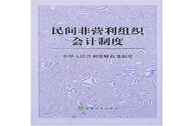 民间非营利组织会计制度